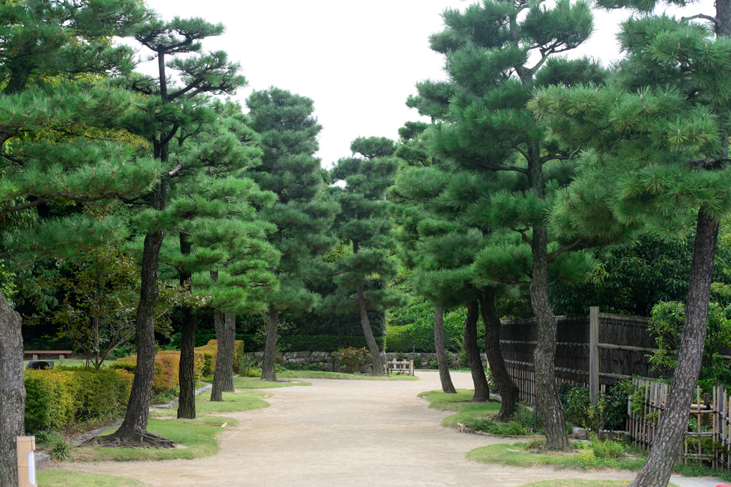 白鳥庭園