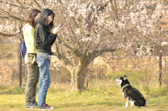 可愛く撮ってね♪