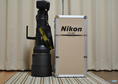 AF-S NIKKOR 600mm f/4G ED VR(旧製品）