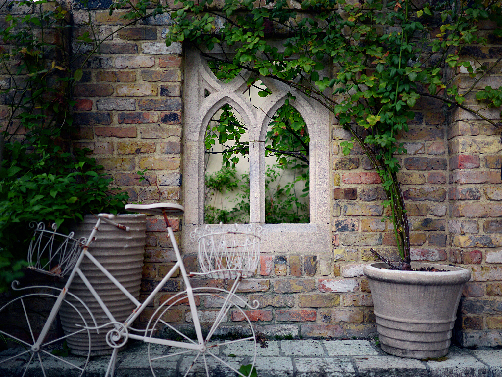 The boundary wall