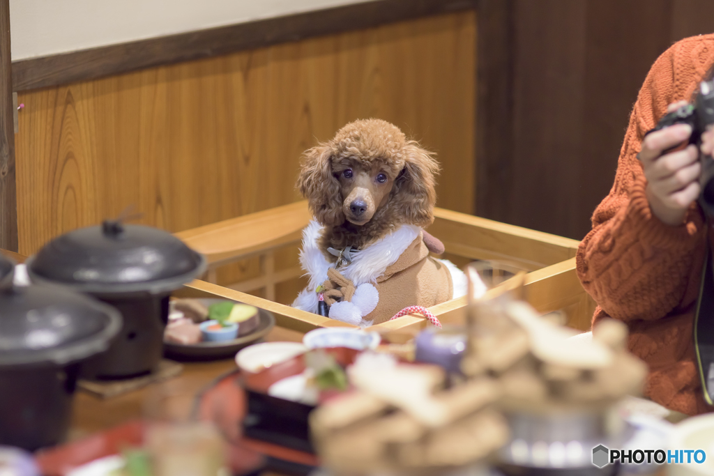 今年最後の一枚