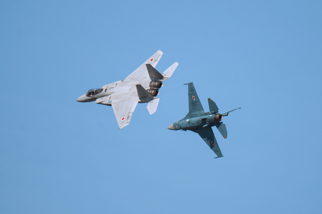 岐阜基地航空祭 2014-③