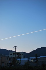 セパレイト・ブルー