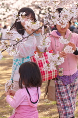 春の装い