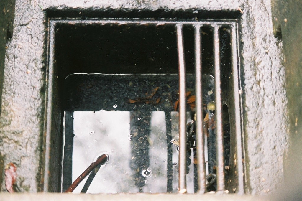 Sewage