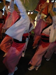 経堂祭2010の阿波踊り6
