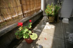 July,2008