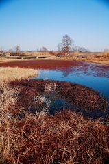 Kasumigaura_0077