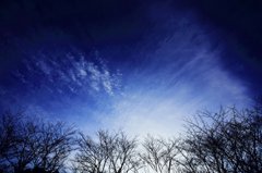 20080120_83
