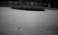 IMG_6902