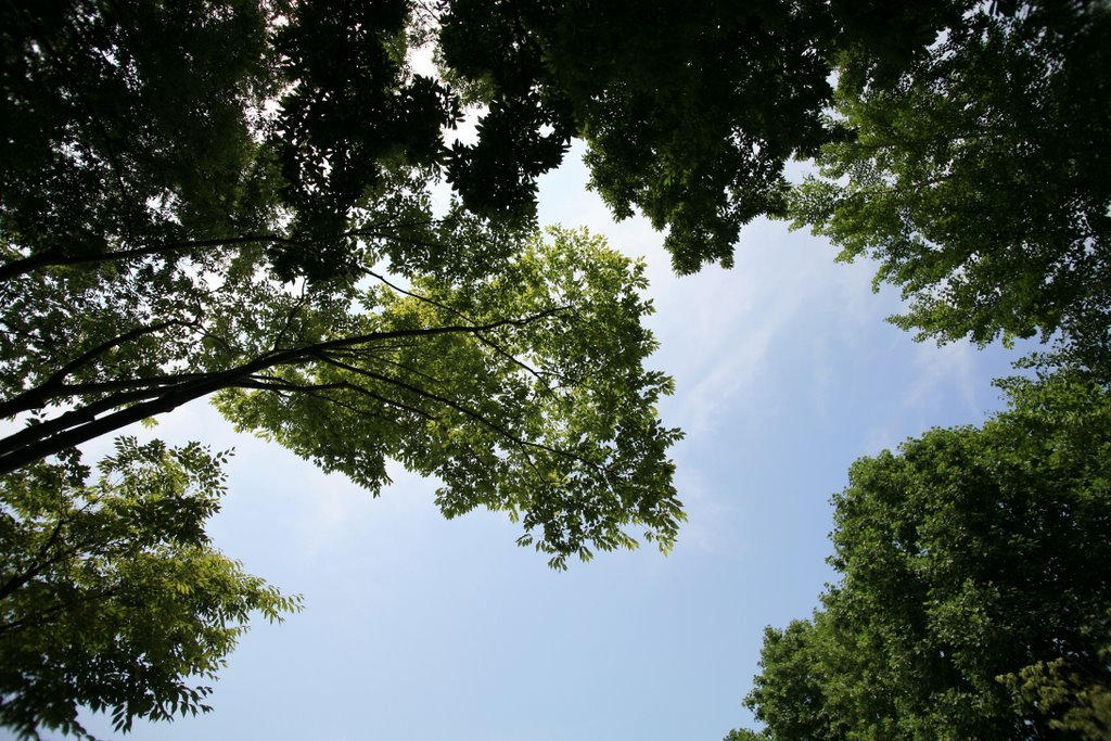 July,2008