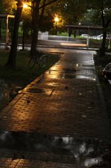 080828_135