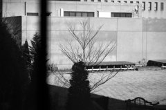 IMG_2265