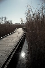 Kasumigaura_0036