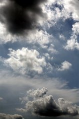 IMG_0069