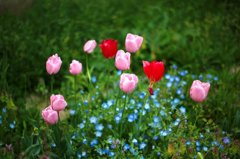 IMG_6073