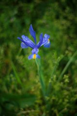 IMG_6080