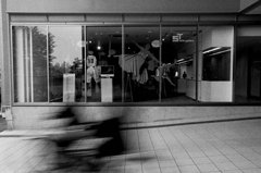 IMG_5989