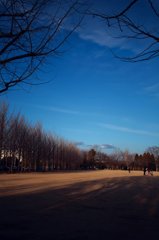 20080120_105