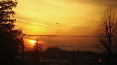 IMG_1275