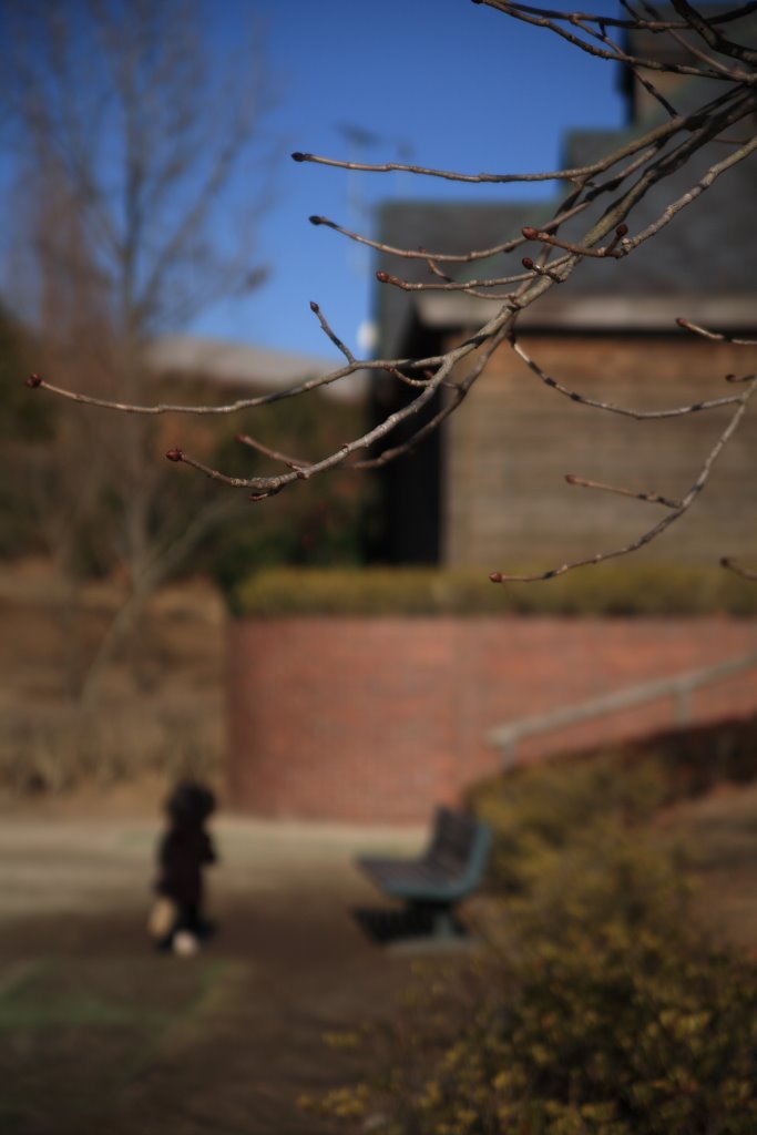 Kasumigaura_0091