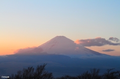 富士山