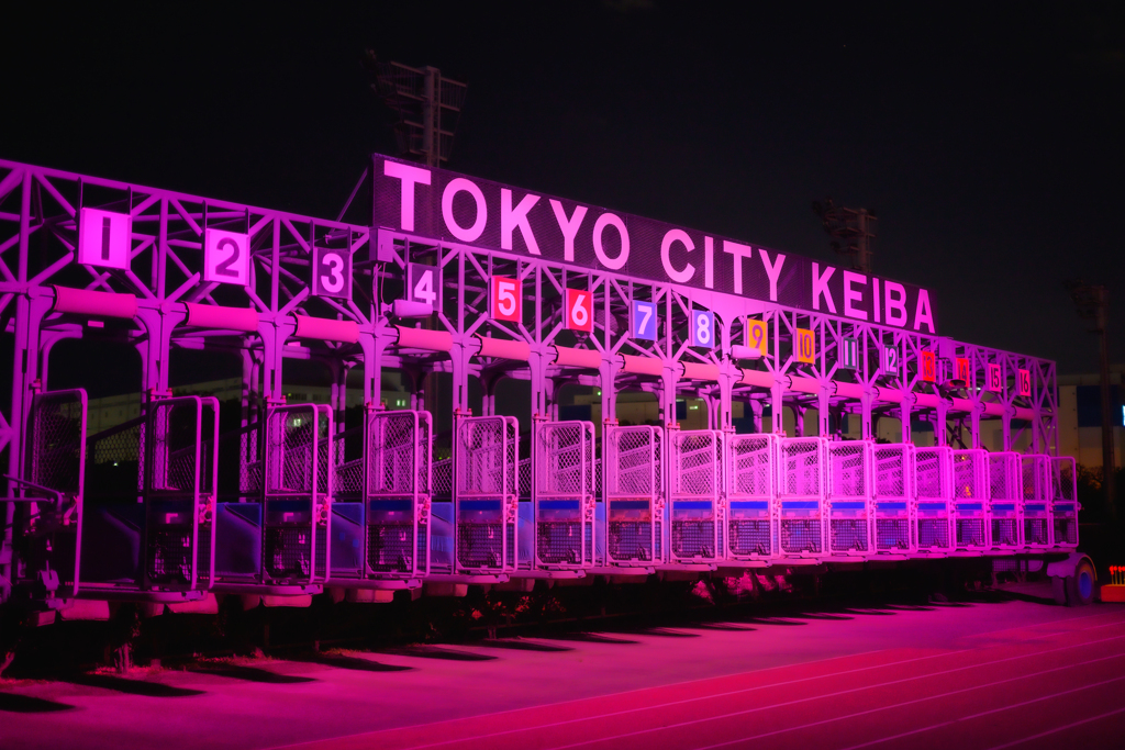 東京メガイルミ