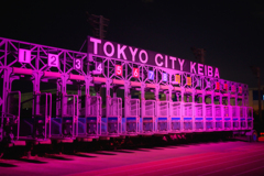 東京メガイルミ