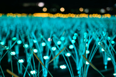 東京メガイルミ