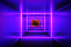 東京メガイルミ