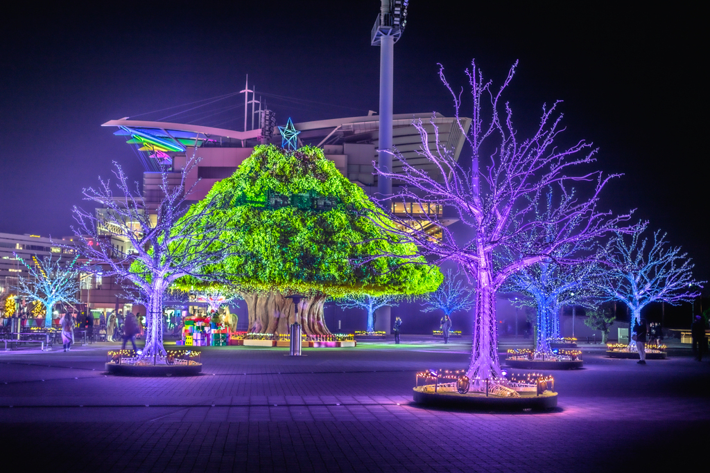 東京メガイルミ