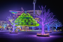 東京メガイルミ