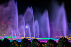 東京メガイルミ