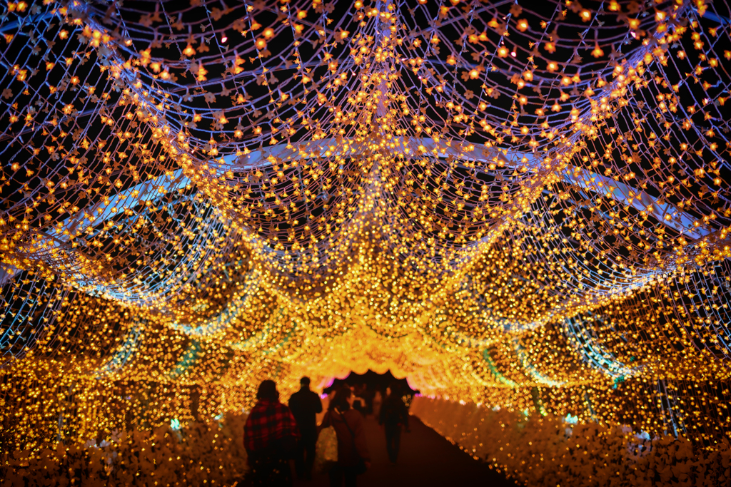 東京メガイルミ