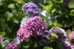 笑顔になあれ　４