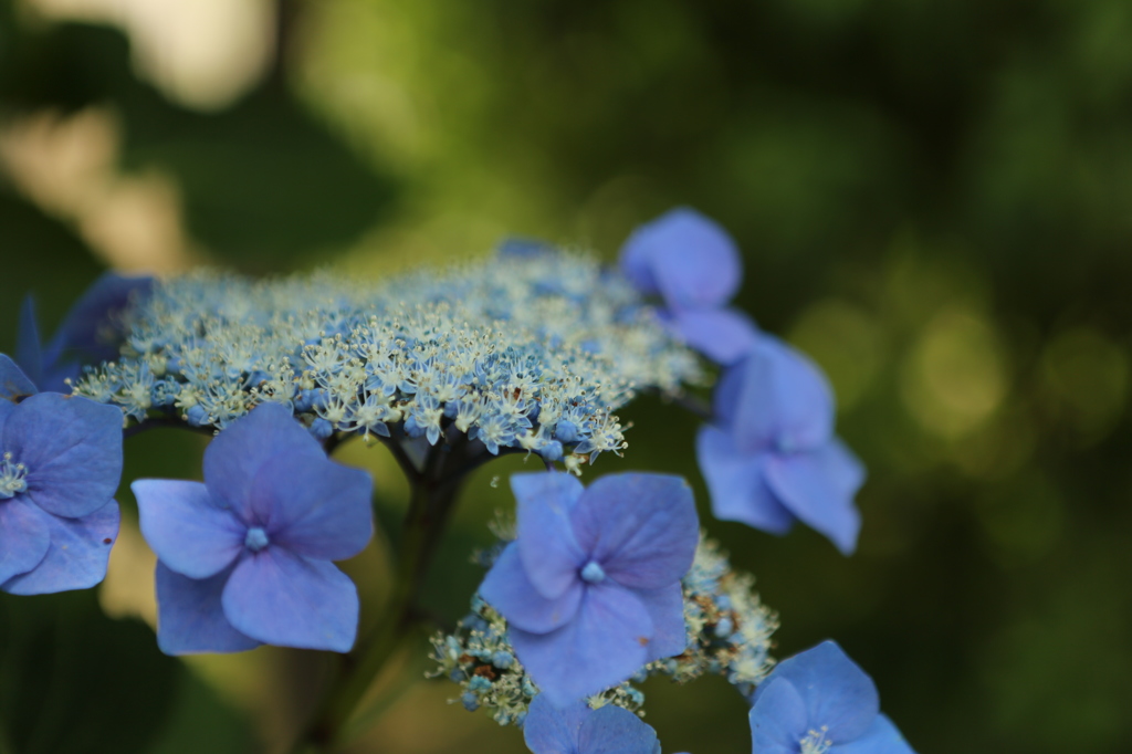 少しの隙間から見せる笑顔　１