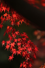 静