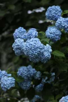 静