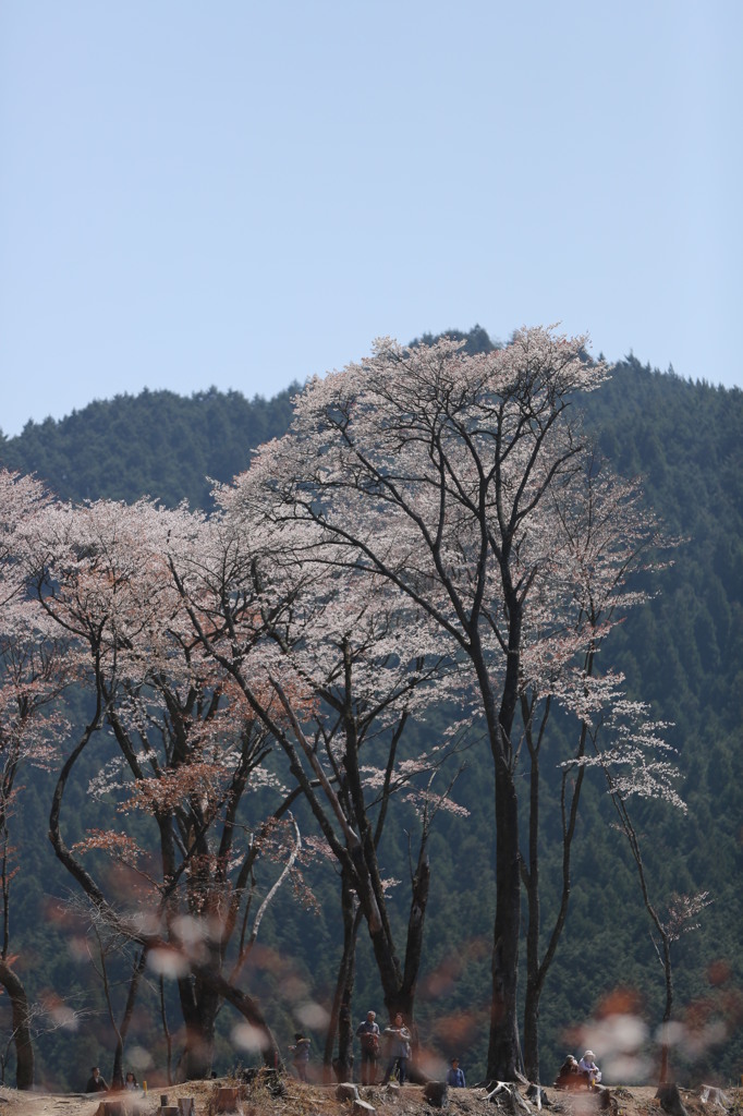 ほんの数秒の癒し