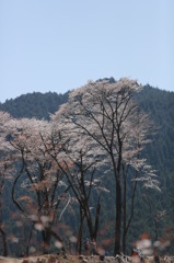 ほんの数秒の癒し