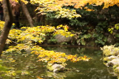 和み