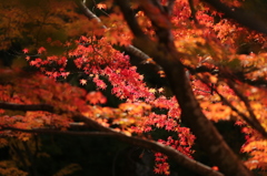 深まる秋