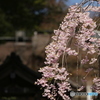 静寂な