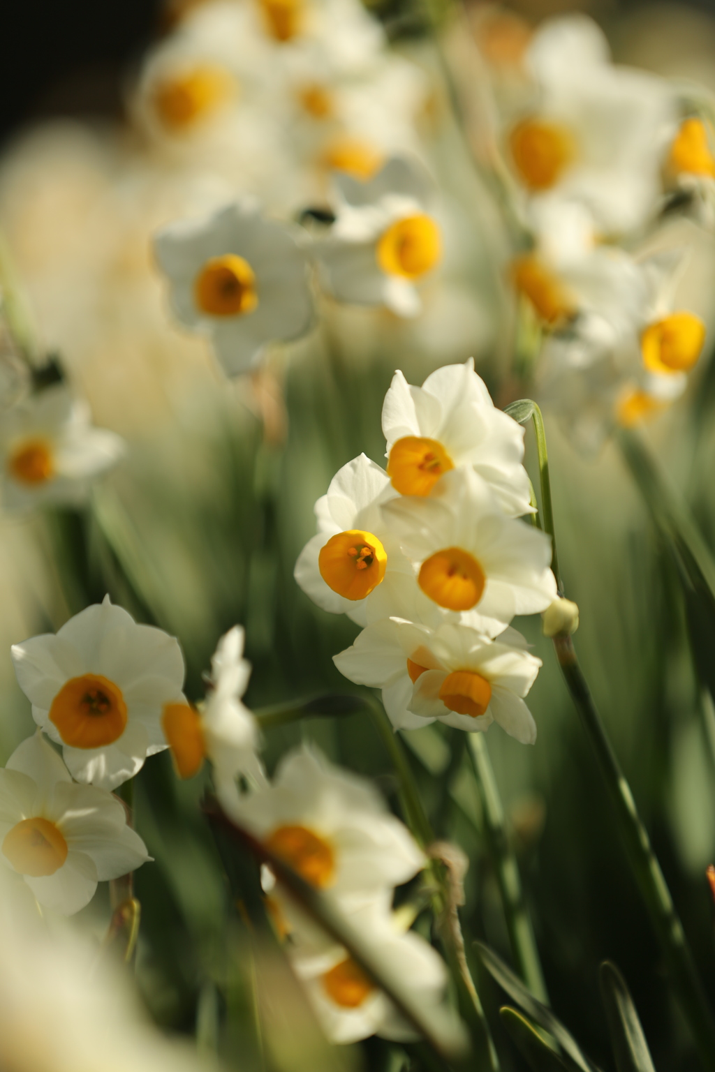 少しだけほっとして