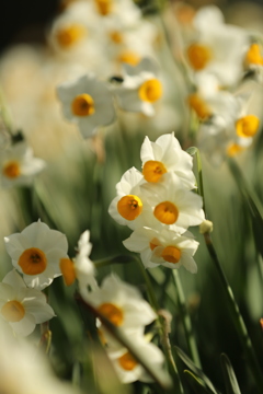 少しだけほっとして