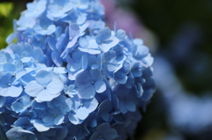 笑顔になあれ　３