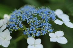 笑顔になあれ　１