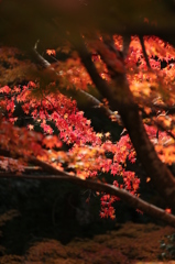 あき