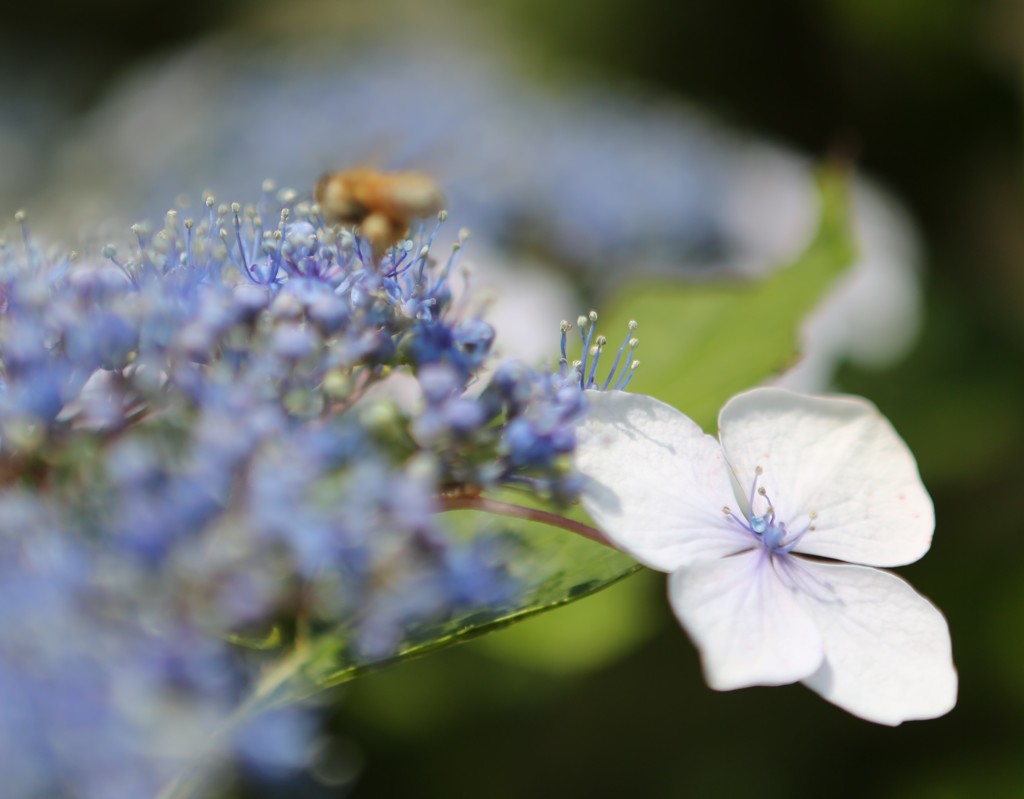 のんびりと・・・