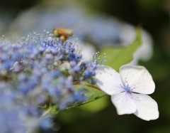 のんびりと・・・